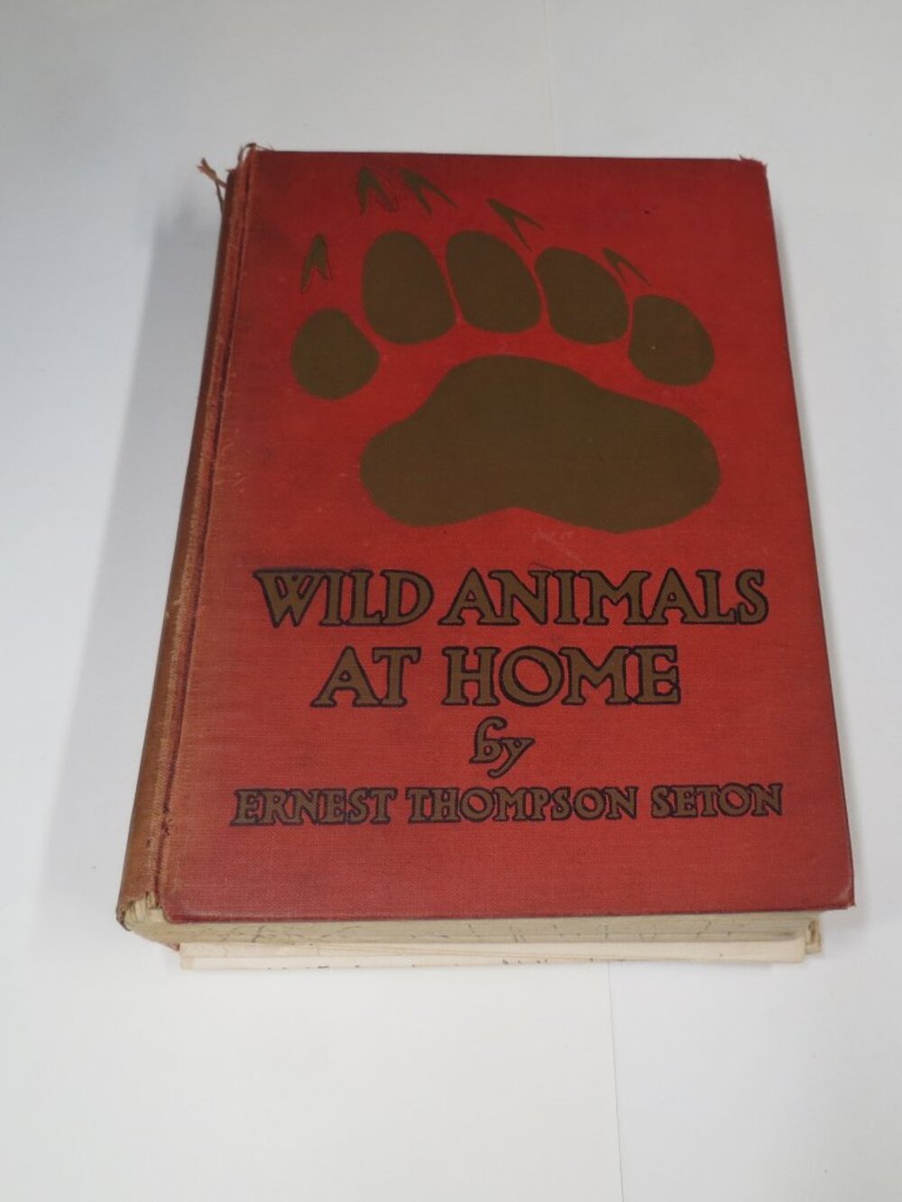Antique 1913 Wild Animals at Home by Ernest Thompson Seton HB